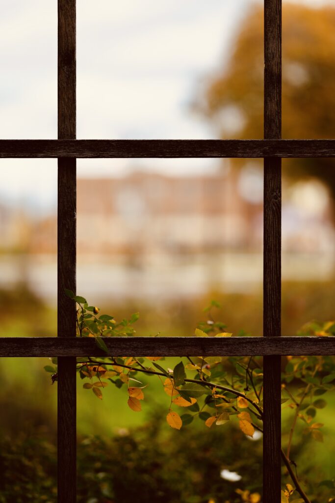 Shot in Parc Graham using the Canon R5 Mark II, with RF 85mm f1.2 L USM lens, at f1.2 aperture, shutter speed of 1/1000s, ISO 100.